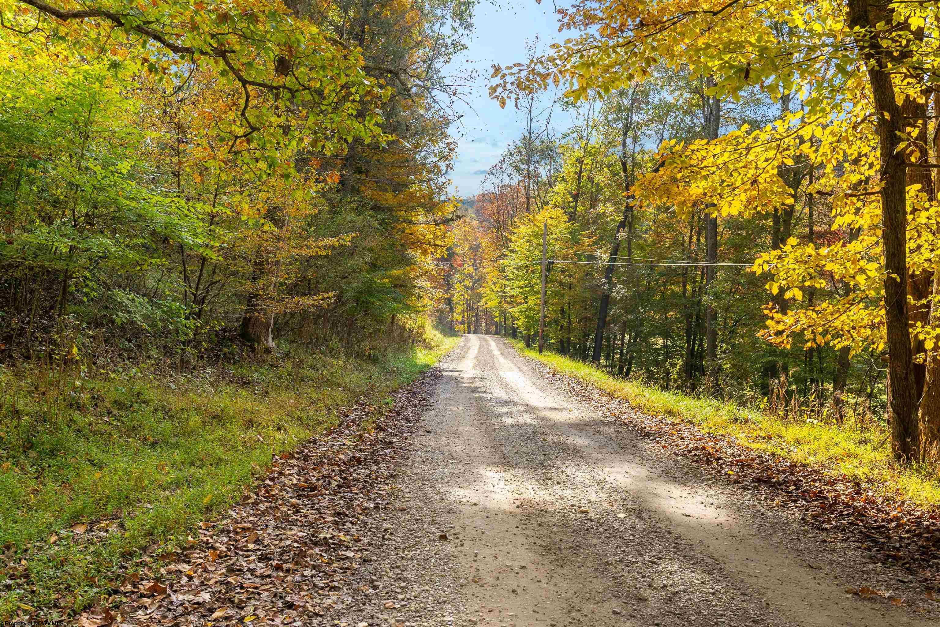 Clendenin, West Virginia 25045, United States, ,Land,Active,86888