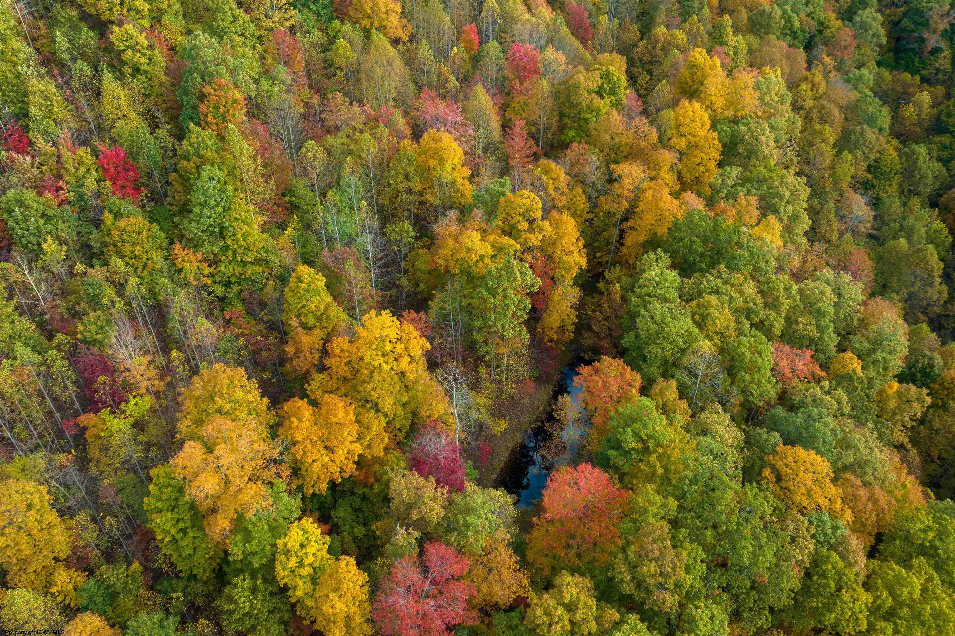 Clendenin, West Virginia 25045, United States, ,Land,Active,86888