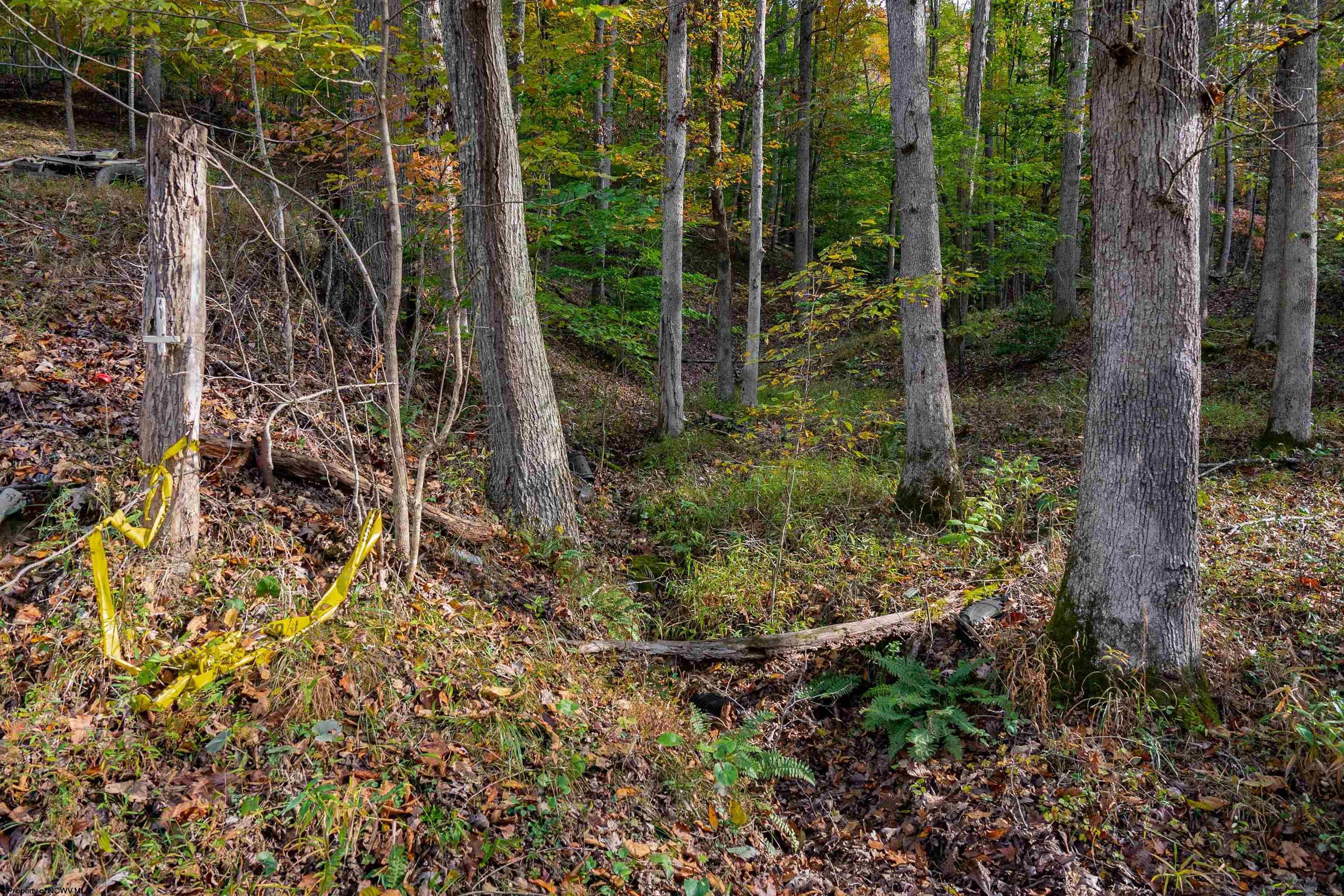 Clendenin, West Virginia 25045, United States, ,Land,Active,86888