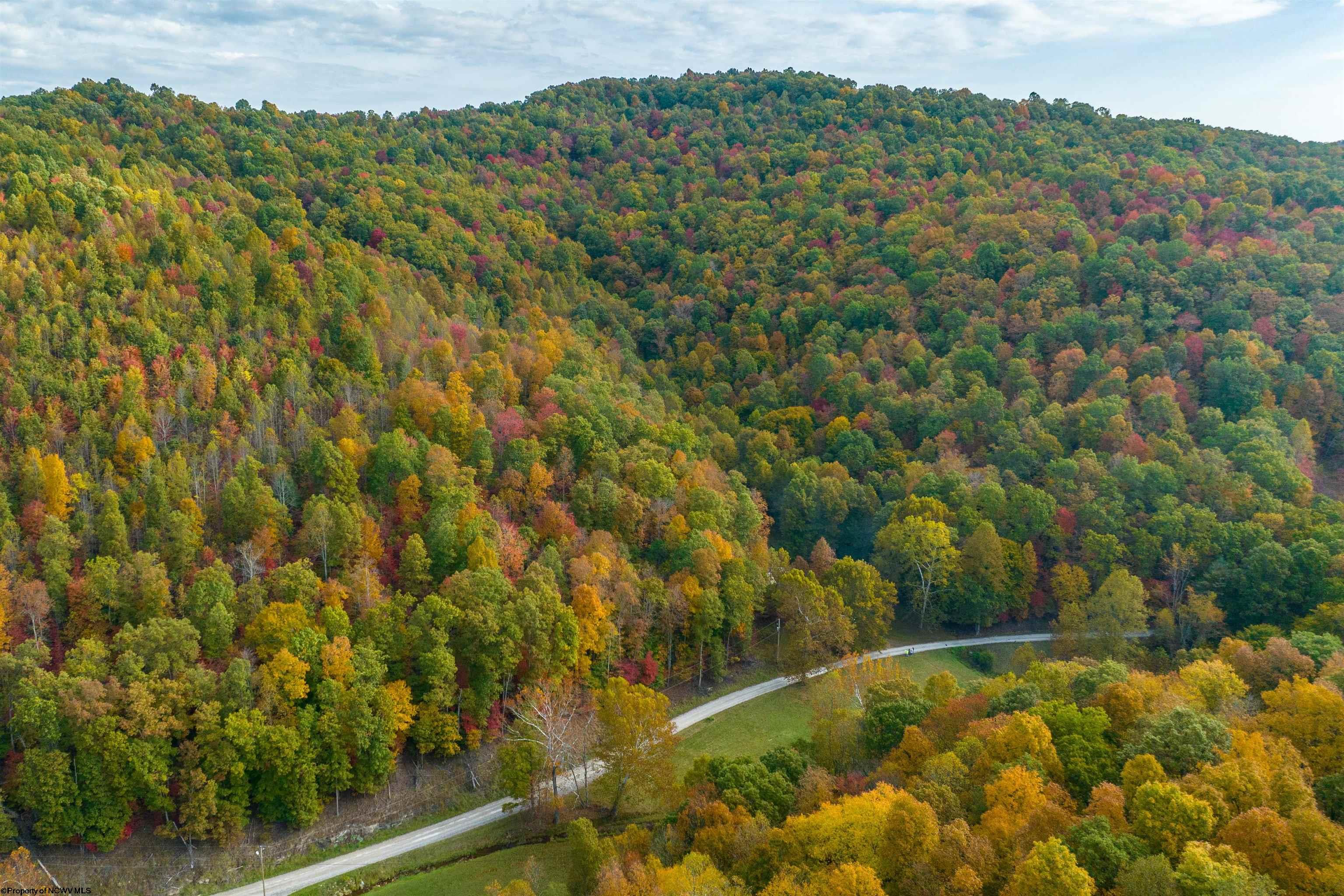 Clendenin, West Virginia 25045, United States, ,Land,Active,86888