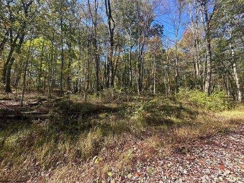 Photo of 20 Rhododendron Drive, Terra Alta, WV 26764 (MLS # 10156629)
