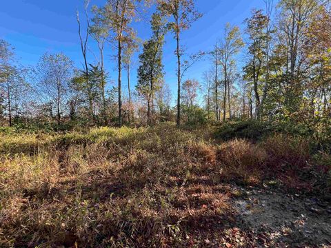 Photo of 3000 Mount Zion Road, Parsons, WV 26287 (MLS # 10161999)