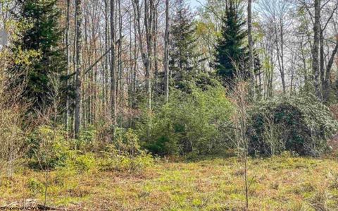 Photo of Lot 75 Canal Street, Davis, WV 26260 (MLS # 10157950)