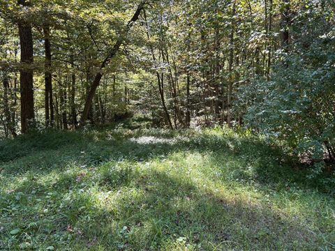Photo of Lot 4 Possum Hollow Road, Terra Alta, WV 26764 (MLS # 10161684)