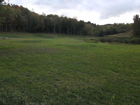 Photo of Lot 2 Island Road, Junior, WV 26275 (MLS # 10161992)