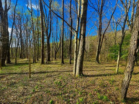 Photo of TBD Bobolink Drive, Terra Alta, WV 26764 (MLS # 10164777)