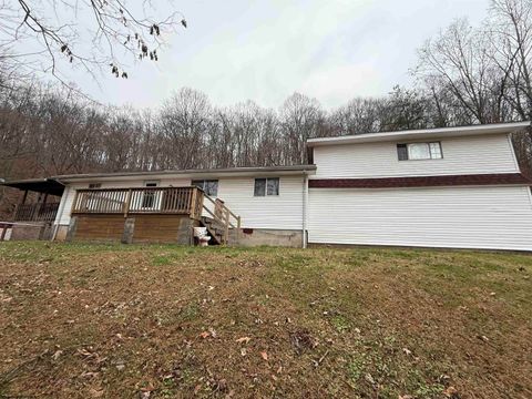 Photo of 1919 Whites Creek Road, Prichard, WV 25555 (MLS # 10162785)