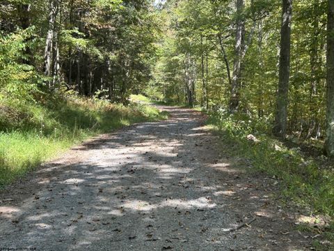 Photo of Lot 3 Possum Hollow Road, Terra Alta, WV 26764 (MLS # 10161683)