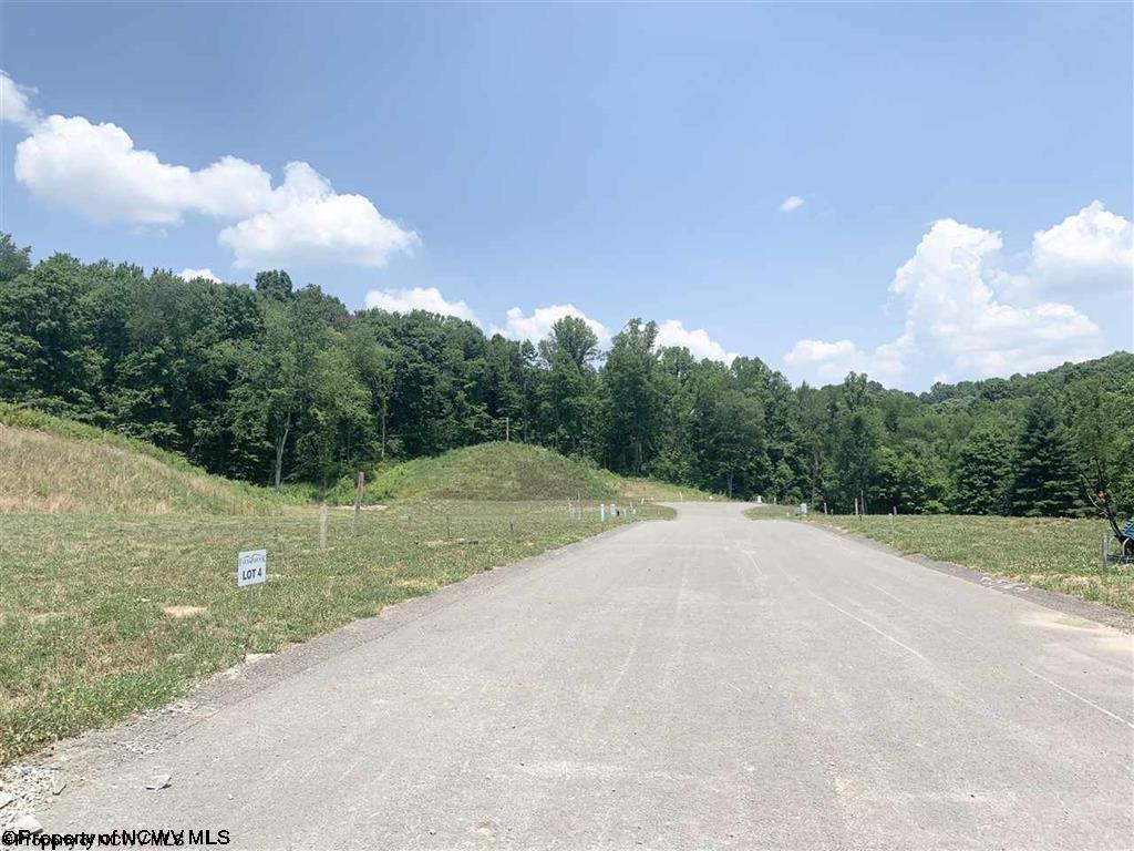 Photo 3 of 9 of Lot 4 Farm Brook Lane land