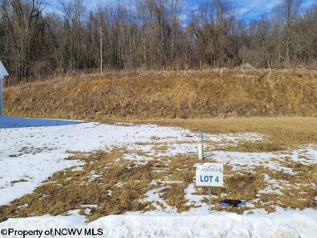 Photo 1 of 9 of Lot 4 Farm Brook Lane land