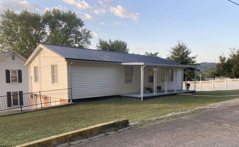 Photo of 180 Pike Street, New Martinsville, WV 26155 (MLS # 10161759)