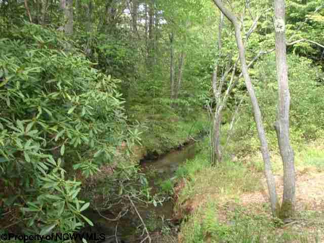 Photo 7 of 8 of 1, 2 & 3 Red Spruce Trail Canaan Heights land