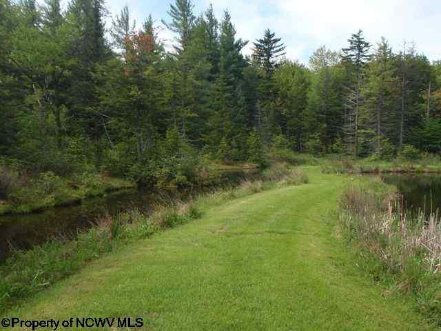 Photo 4 of 8 of 1, 2 & 3 Red Spruce Trail Canaan Heights land