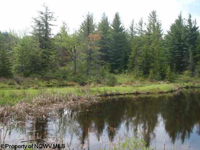 Photo 2 of 8 of 1, 2 & 3 Red Spruce Trail Canaan Heights land