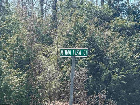 Photo of Lot 194 Florence Court, Davis, WV 26260 (MLS # 10159054)