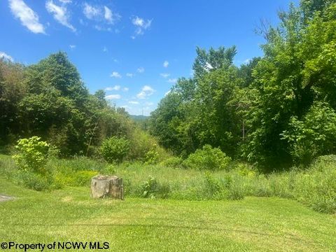 Photo of 1168 Boulevard Avenue, Fairmont, WV 26554 (MLS # 10165078)