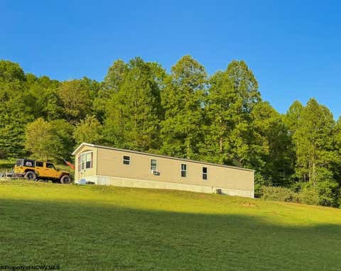 Photo of 654 Toms Run Road, Roanoke, WV 26447 (MLS # 10165205)