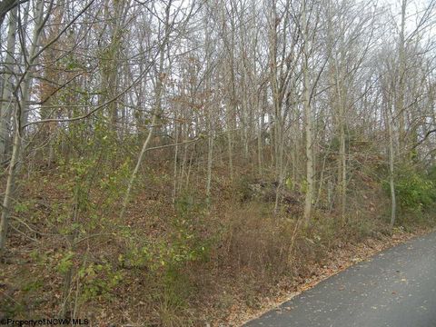 Photo of N-1 Lemley Street, Morgantown, WV 26505 (MLS # 10152596)