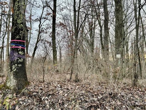 Photo of 1201 Moyers Road, Bruceton Mills, WV 26525 (MLS # 10157618)