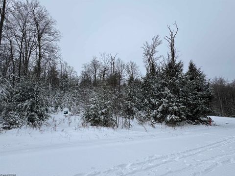 Photo of Lot 111 Canal Street, Davis, WV 26260 (MLS # 10162991)