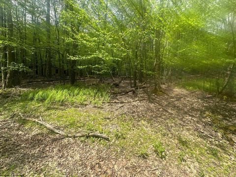 Photo of Lot 197 Woodbine Drive, Terra Alta, WV 26764 (MLS # 10164983)