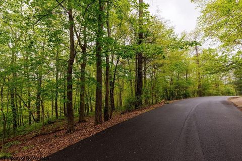 Photo of TBD Hinkle Lake Road, Bridgeport, WV 26330 (MLS # 10159324)