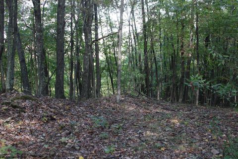 Photo of 1430 Sand Bank Road, Masontown, WV 26542 (MLS # 10157629)