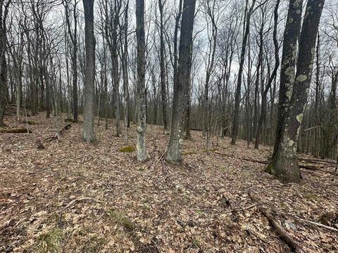 Photo of Lot 108 & 109 Lakeview Drive, Terra Alta, WV 26764 (MLS # 10158963)