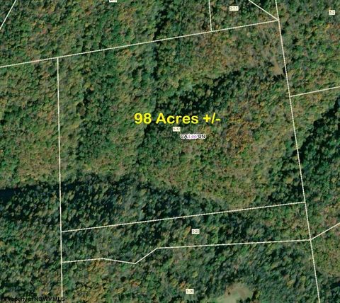 Photo of Parcel 12 West Fork Road, Creston, WV 26141 (MLS # 10157554)