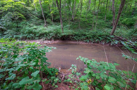 Photo of Lot 1 Husky Highway, Mannington, WV 26582 (MLS # 10166514)