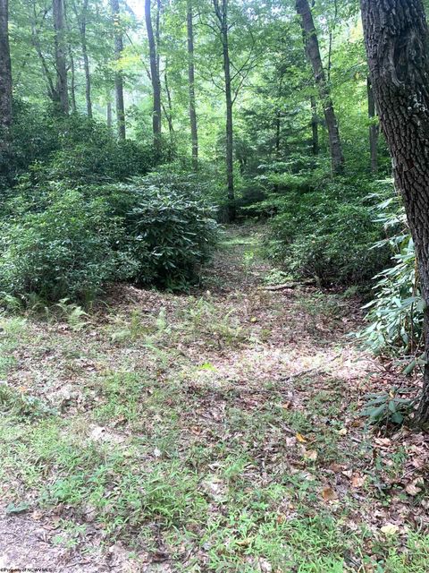 Photo of 3311 Hanging Run Road, Belington, WV 26250 (MLS # 10164652)