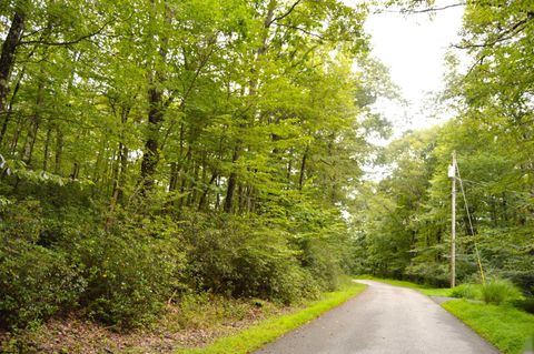 Photo of Lot 132 Dogwood Lane, Terra Alta, WV 26764 (MLS # 10161027)