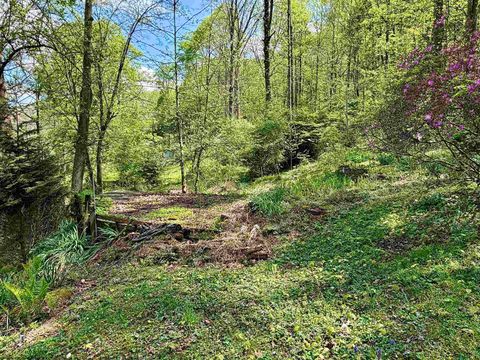 Photo of 94, 95, 96 Crystal Lake, West Union, WV 26456 (MLS # 10164478)