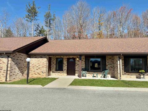 Photo of 603 Woodside Drive #603, Thomas, WV 26292 (MLS # 10162340)