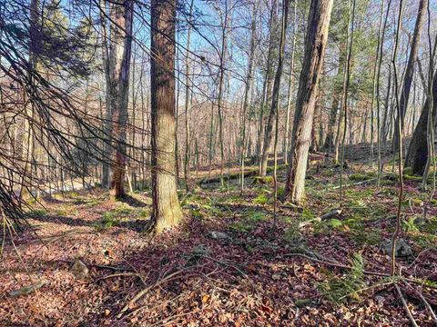 Photo of Lot 12 Whitewater Parkway, Bruceton Mills, WV 26525 (MLS # 10162472)