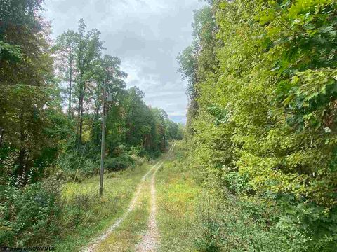 Photo of TBD Helens Run Road, Worthington, WV 26591 (MLS # 10161542)