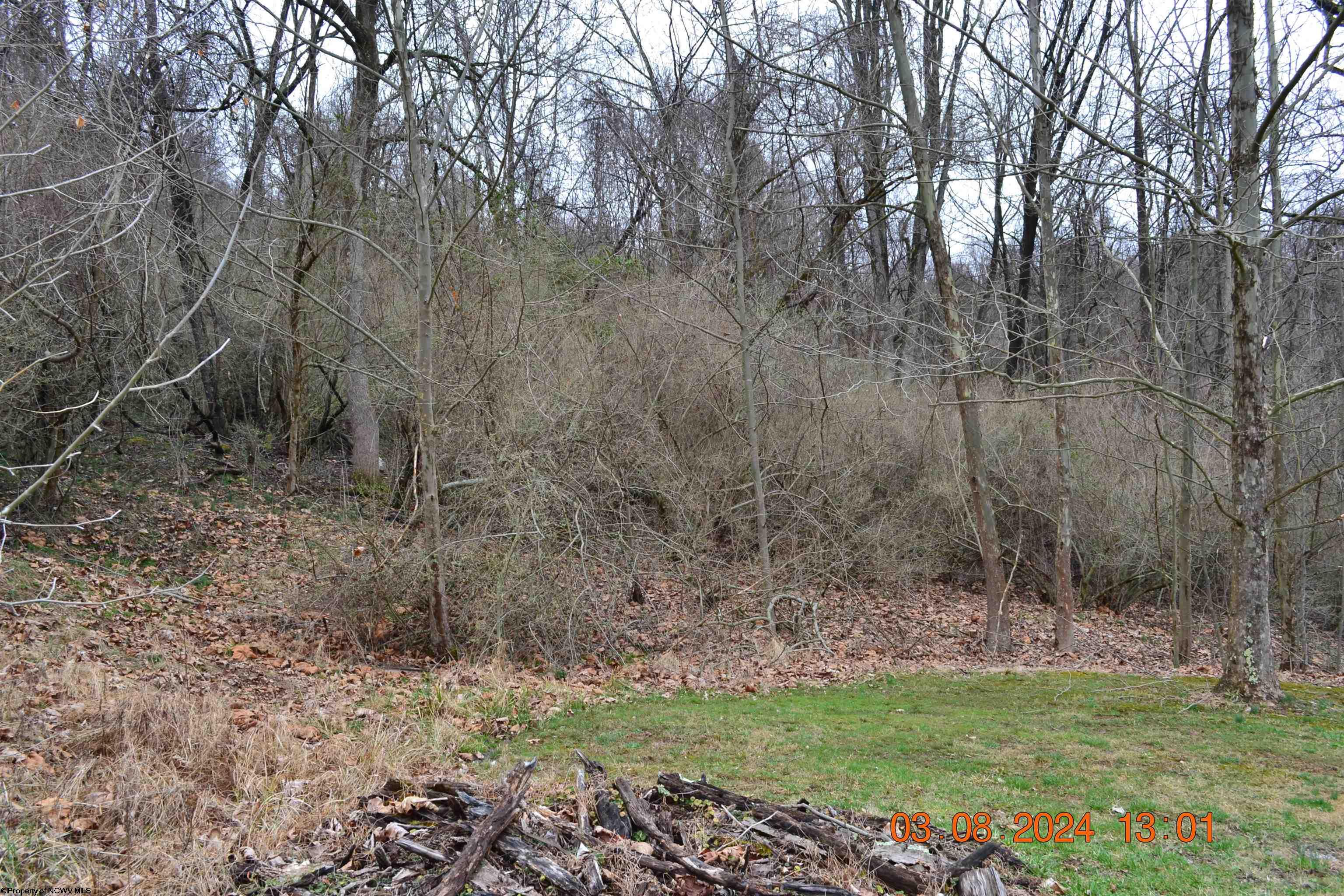 Lot 48 Poplar Street