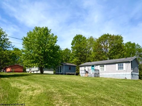 Photo of 462 Spring Hills Road, Grafton, WV 26554 (MLS # 10164484)