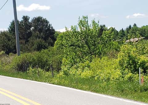 Photo of 215 Courtland Road, Davis, WV 26260 (MLS # 10154416)