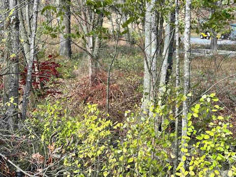 Photo of 75 Upper Isner Creek Road, Elkins, WV 26241 (MLS # 10162208)