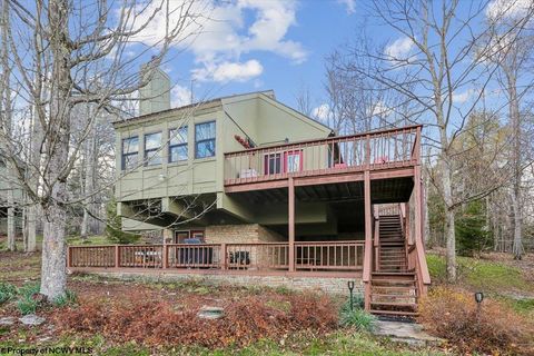 Photo of 213 Treetop Lane, Davis, WV 26260 (MLS # 10164283)