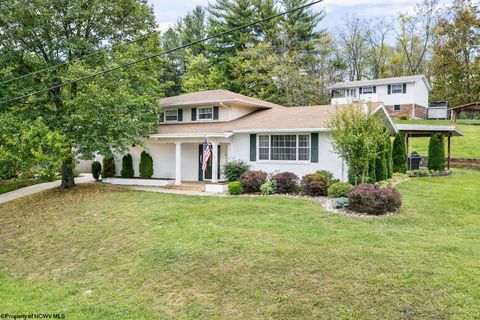 Photo of 108 Allman Avenue, Buckhannon, WV 26201 (MLS # 10161808)