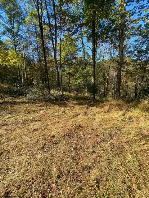 Photo of TBD Third Run Road, Glenville, WV 26342 (MLS # 10162252)