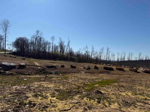 Photo of Lot 10 Poplar Ridge, Bruceton Mills, WV 26525 (MLS # 10164293)