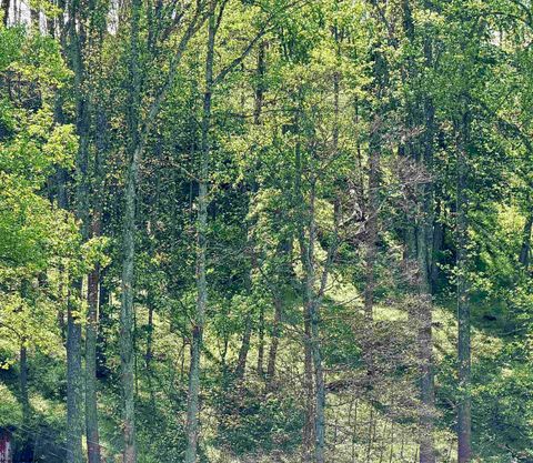 Photo of Lot 99 Crystal Lake, West Union, WV 26456 (MLS # 10164497)