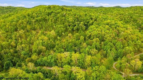 Photo of TBD Rock Camp Road, Wallace, WV 26448 (MLS # 10164944)