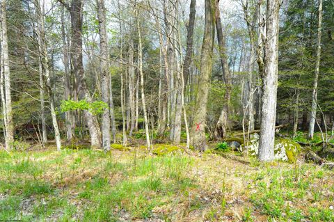 Photo of 103 - 104 Arbutus Court, Terra Alta, WV 26764 (MLS # 10164735)