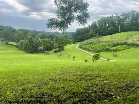 Photo of 139 Vineyard Lane, Fairmont, WV 26554 (MLS # 10166351)