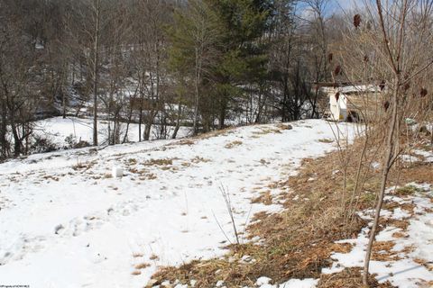 Photo of 190 Coon Creek Road, Camden on Gauley, WV 26208 (MLS # 10163365)