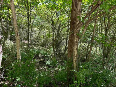 Photo of Lot 10 Alpenglow Ridge Drive, Dryfork, WV 26260 (MLS # 10151096)